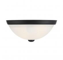 Savoy House Canada 6-780-11-BK - 2-Light Ceiling Light in Matte Black