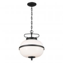 Kichler 52478BKT - Opal 2-Light Pendant, Textured Black