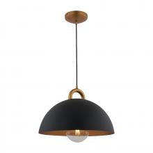 Artcraft AC12000BB - Pantheon-1-Light Pendant-15.75&#34;-Black/Rust Brass