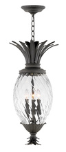 Hinkley Canada 2122MB - Large Hanging Lantern