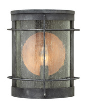 Hinkley Canada 2620DZ - Small Wall Mount Lantern